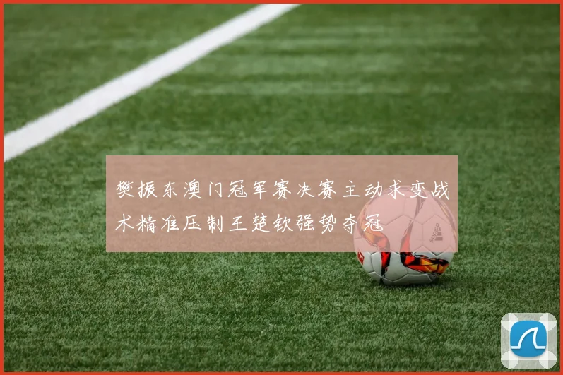 樊振东澳门冠军赛决赛主动求变战术精准压制王楚钦强势夺冠