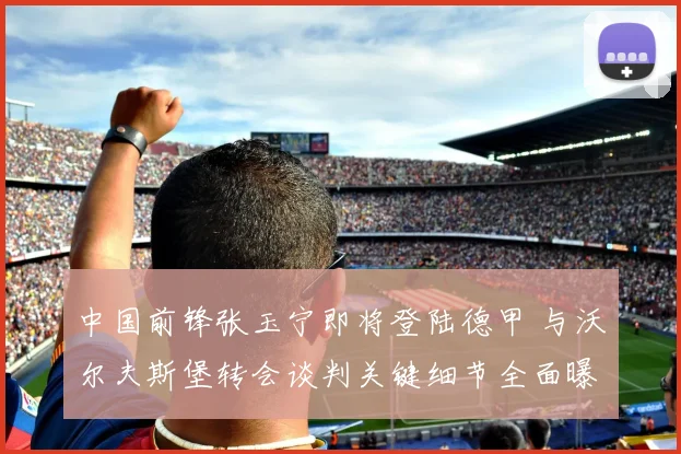 中国前锋张玉宁即将登陆德甲 与沃尔夫斯堡转会谈判关键细节全面曝光