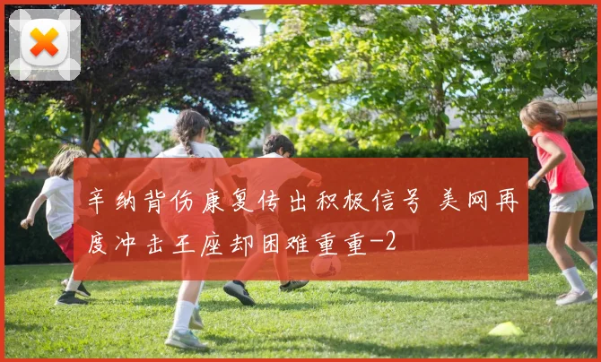 辛纳背伤康复传出积极信号 美网再度冲击王座却困难重重