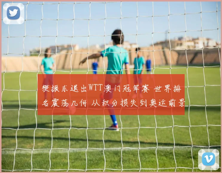 樊振东退出WTT澳门冠军赛 世界排名震荡几何 从积分损失到奥运前景全面观察