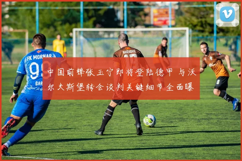 中国前锋张玉宁即将登陆德甲 与沃尔夫斯堡转会谈判关键细节全面曝光